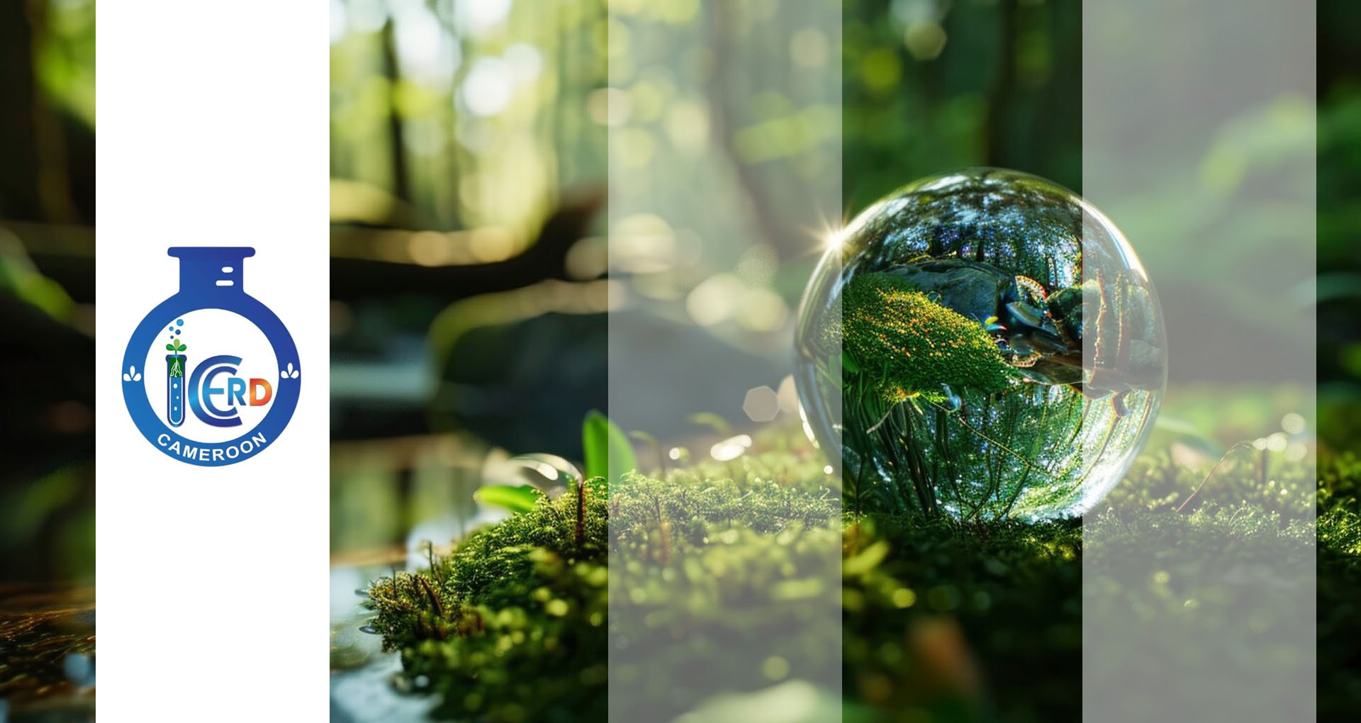 Etudes environnementales