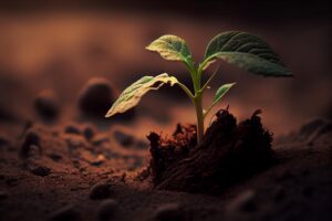 Tests et Expérimentations